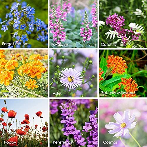 25 Lb Bulk Pollinator Wildflower Seeds - 16 Million Non-GMO Seeds for Hummingbirds & Butterflies - 23 Varieties of Perennial & Annual Flowers - Perfect for Meadows, Gardens & Landscaping