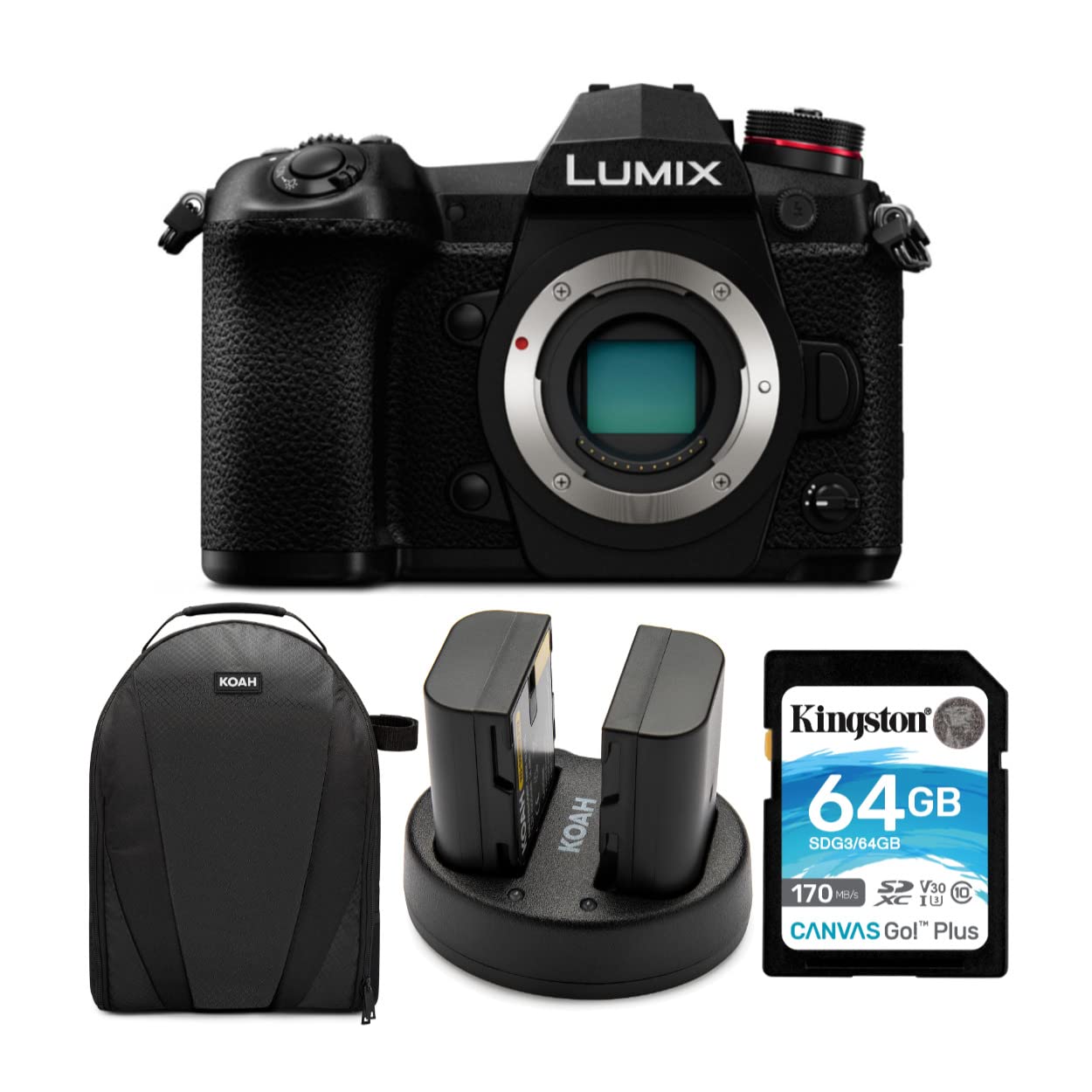 Panasonic LUMIX G9 20.3MP Mirrorless Digital Camera with 4K Video, Camera Bag, Extra Battery, Dual Charger & 64GB Memory Card Bundle - Perfect for Travel Photography, Vlogging & Professional Shooting