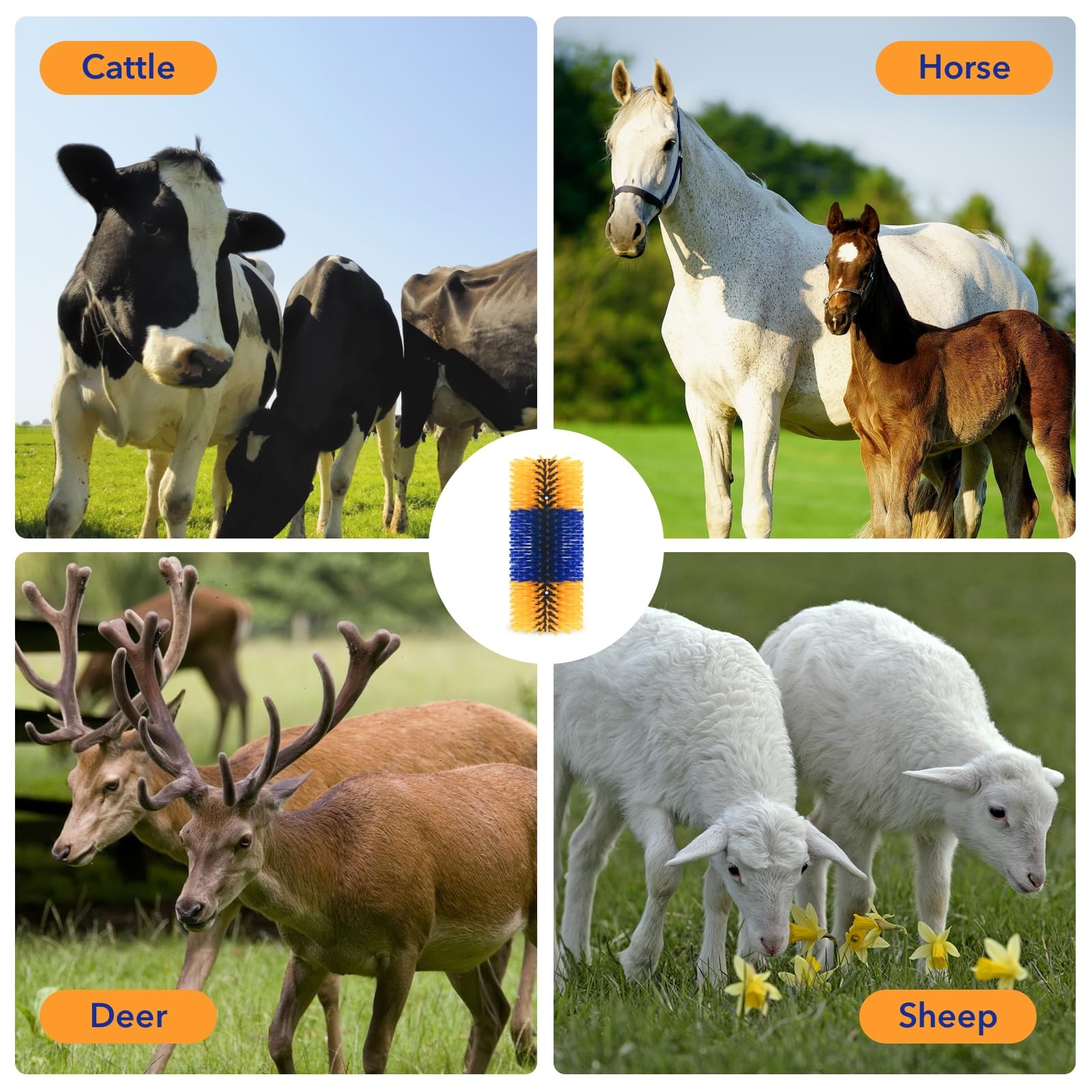 **Livestock Grooming Brush Set - 2 Pack Universal Horse, Cow, Pig, Goat Massage & Sweat Scraper Kit for Itch Relief & Coat Care - Perfect for Barn, Stable & Farm Animal Care**