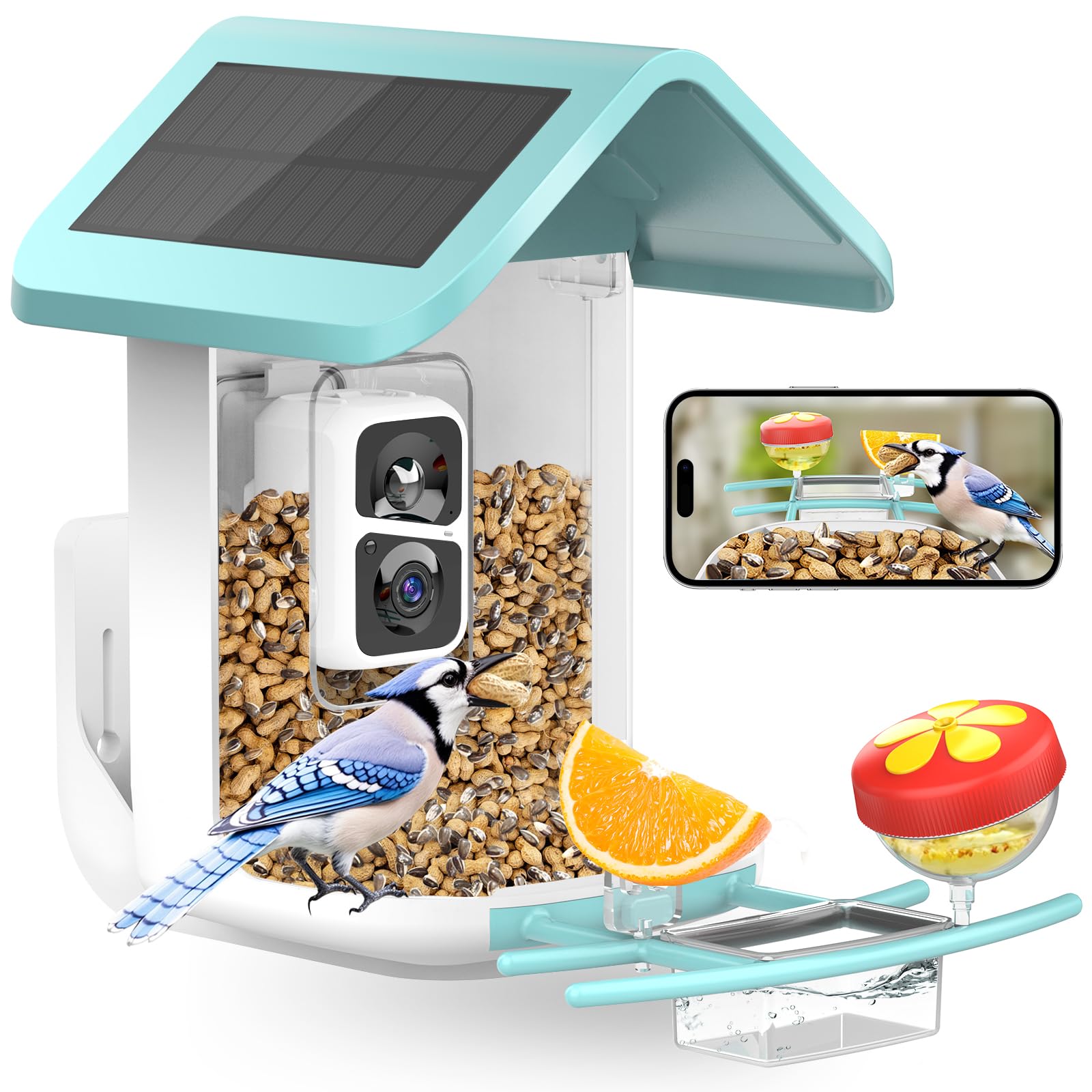 Solar Powered Smart Bird Feeder with 2K Camera - AI Bird Identification, Auto Video Capture, 2.4GHz WiFi Live Feed for Backyard Bird Watching | Perfect Gift for Bird Lovers, Parents & Nature Enthusiasts | Monitor Wildlife in Your Garden or Patio
