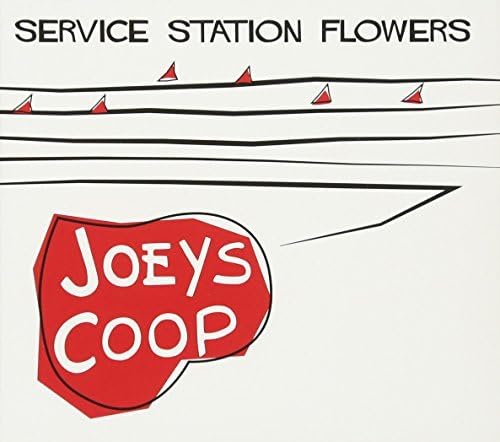 Service Station Flowers - Fresh & Long-Lasting Floral Arrangements for Home, Office & Special Occasions