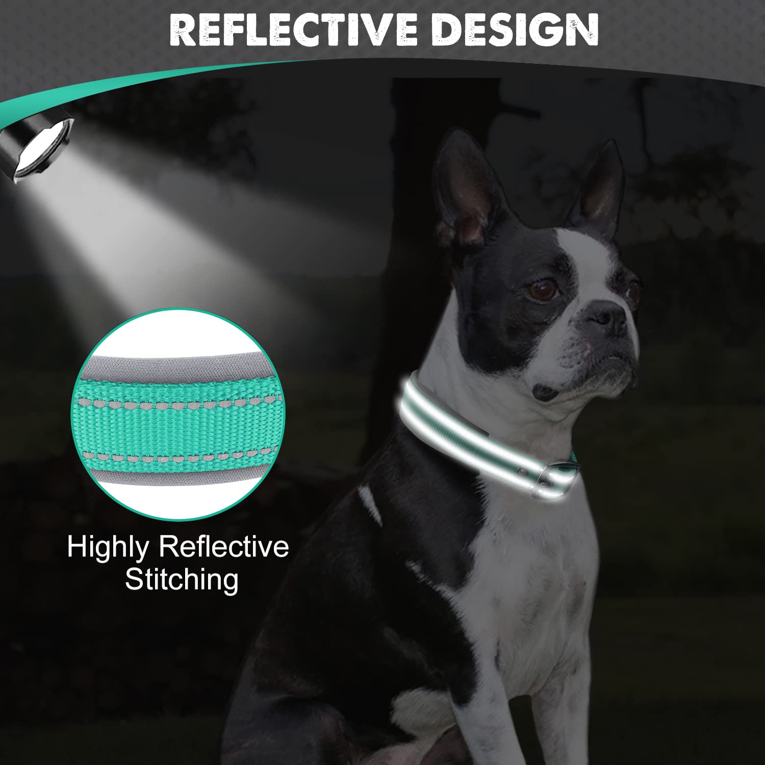 Joytale Neoprene Padded Adjustable Reflective Dog Collar for Medium Dogs - Heavy Duty Pet Collar with Durable Metal Buckle - Perfect for Walking, Training & Outdoor Adventures (Teal, Size M)