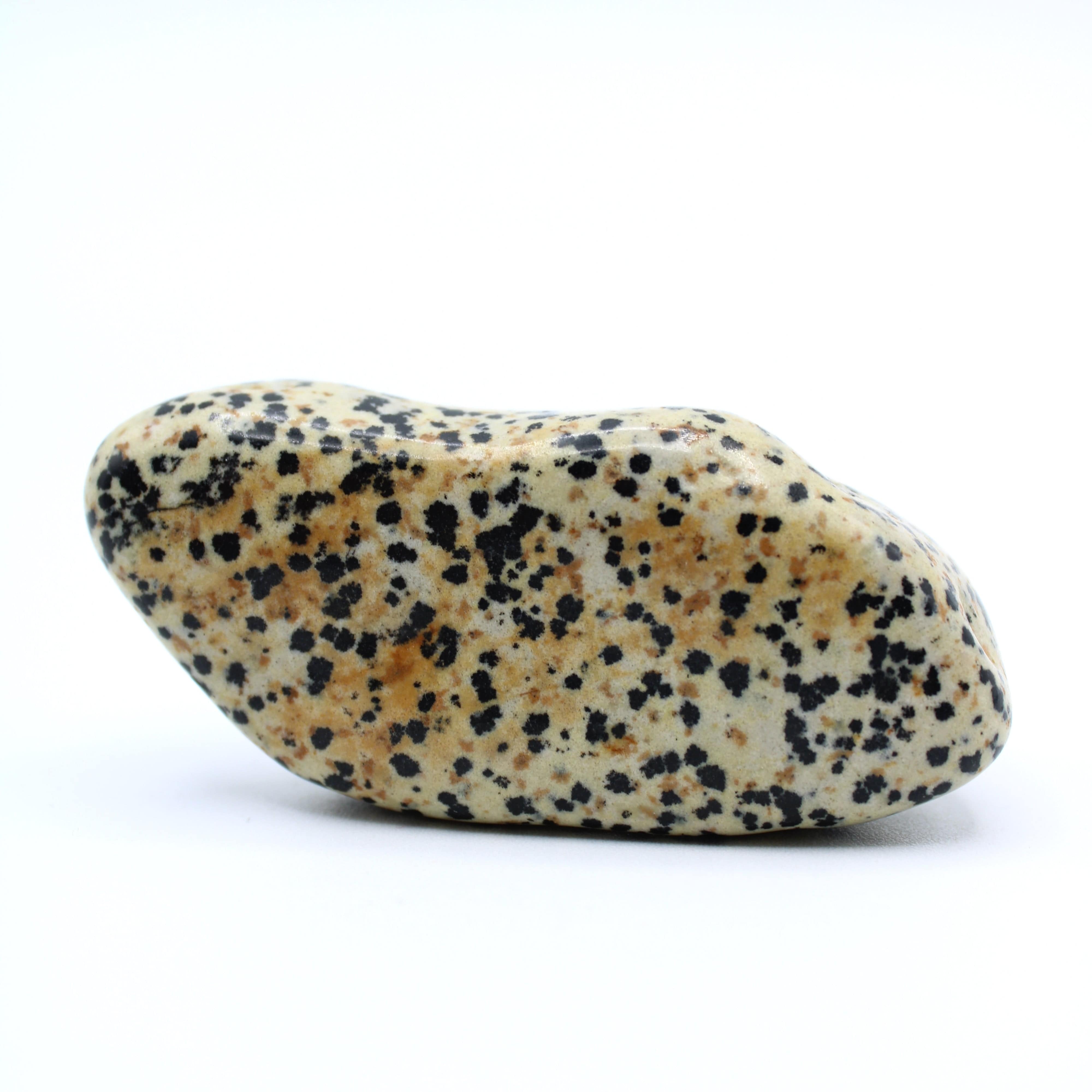 Natural Dalmatian Jasper Free Form Stone - Healing Crystal for Meditation, Home Decor & Spiritual Gifts | Perfect for Yoga, Reiki & Energy Work