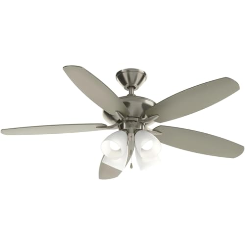 Brushed Stainless Steel