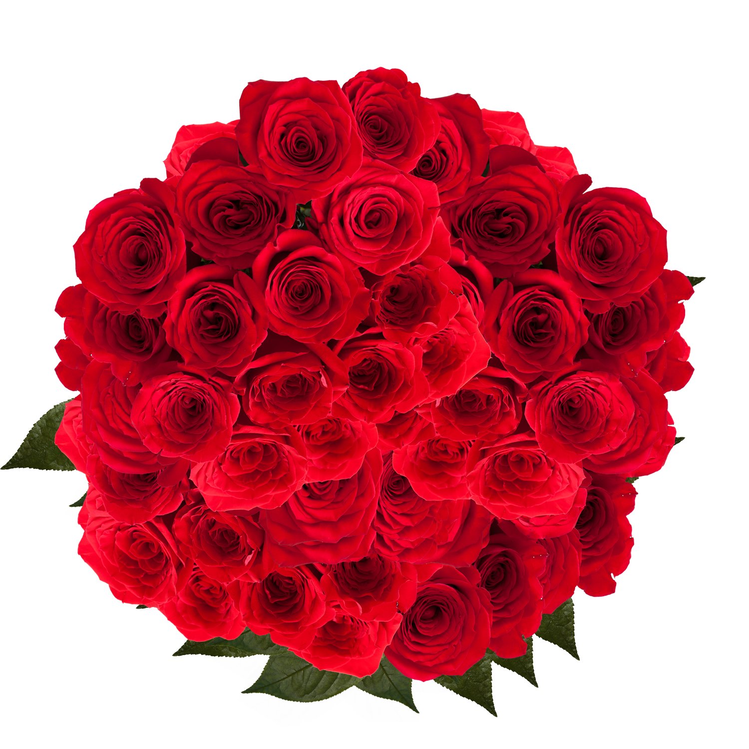 250 Fresh Red Roses - Premium Long Stem Roses for Valentine's Day, Weddings & Anniversaries - Next Day Delivery USA - Perfect for Romantic Gifts, Proposals & Home Decor