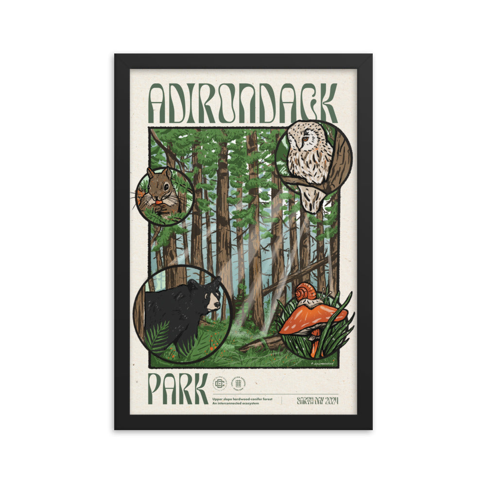 Adirondack Ecosystem Poster - 1st Edition | High-Quality Wall Art for Home, Office & Classroom Decor