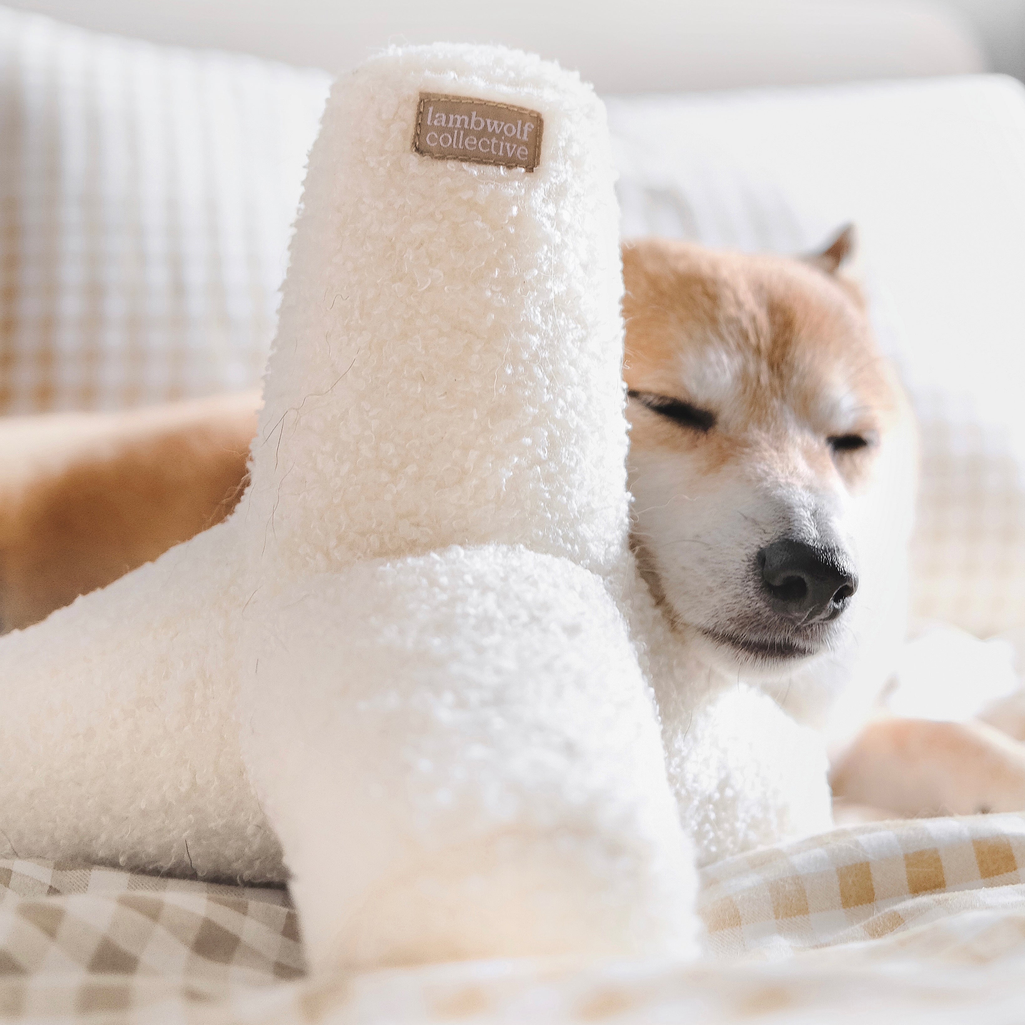 O Breuer - Premium Quality Products for Your Everyday Needs | Perfect for Home, Office & Gifting