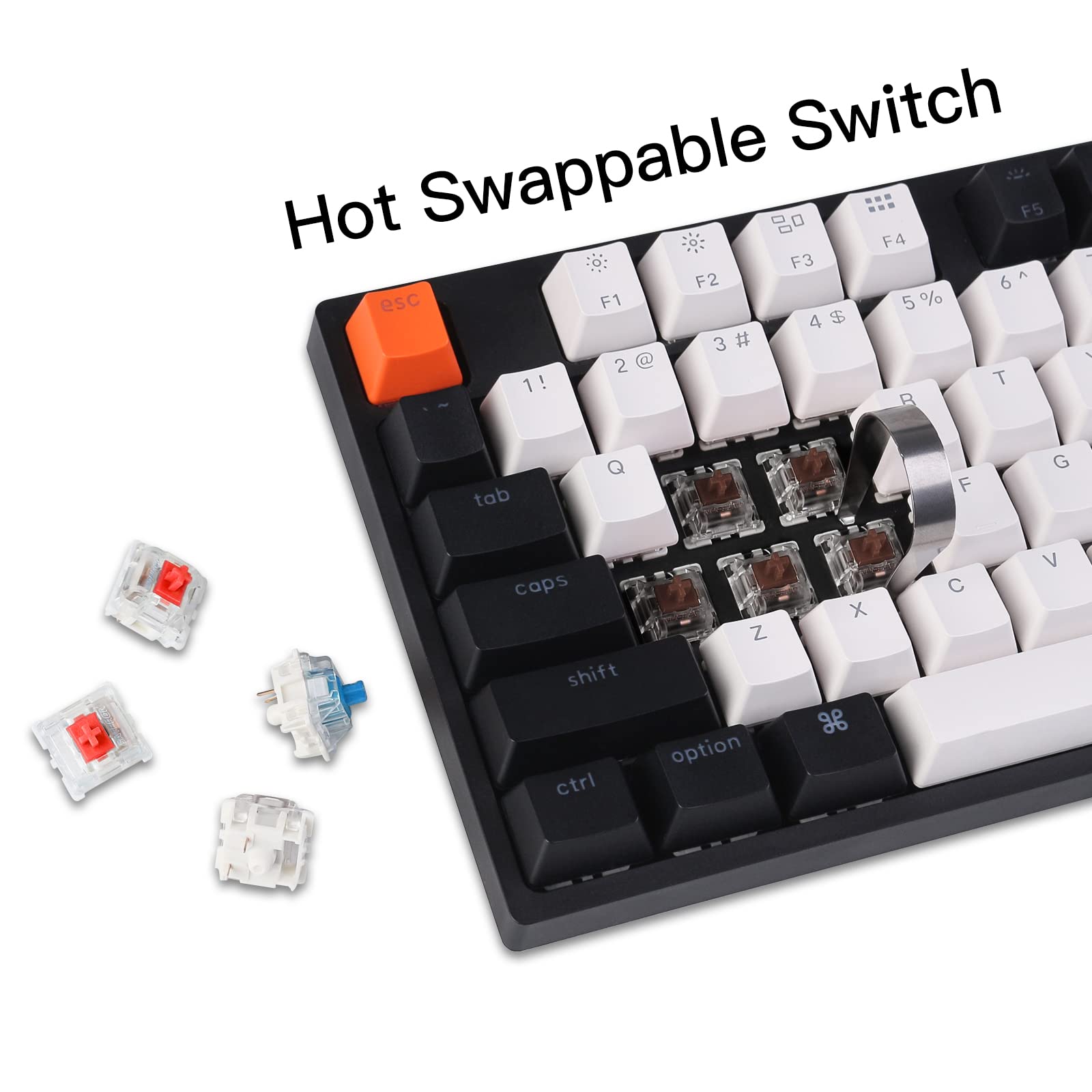 Keychron C2 Wired Mechanical Keyboard - Hot-Swappable, Gateron Brown Switch, White Backlight for Mac/Windows Gaming & Typing