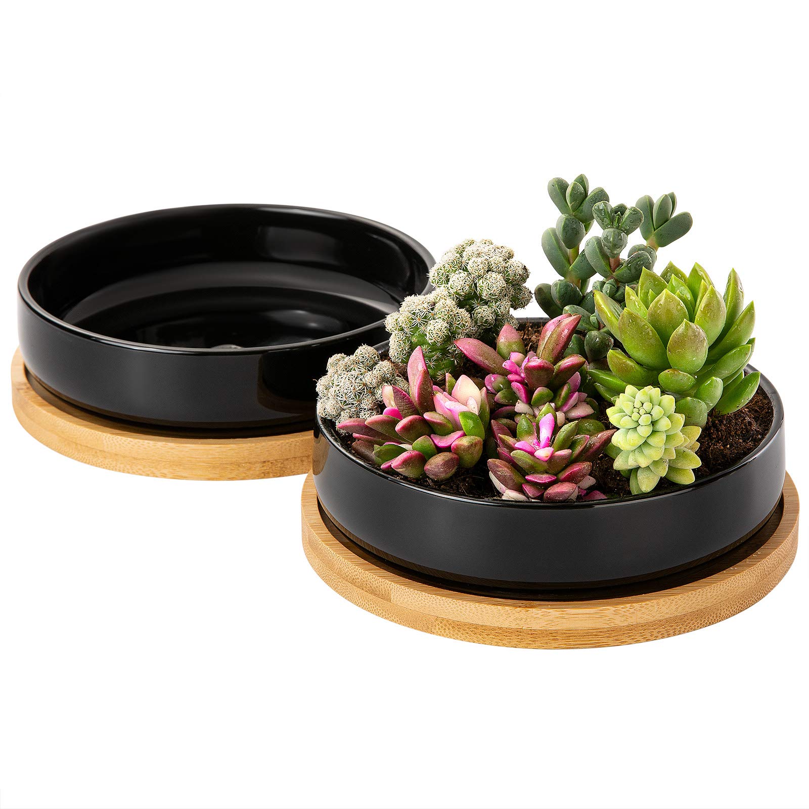2 Pack 6 Inch Black Ceramic Succulent Pots with Bamboo Tray & Drainage Holes - Modern Flower Planters for Indoor Plants, Succulents, Herbs - Perfect for Home, Office Decor & Gardening Gifts