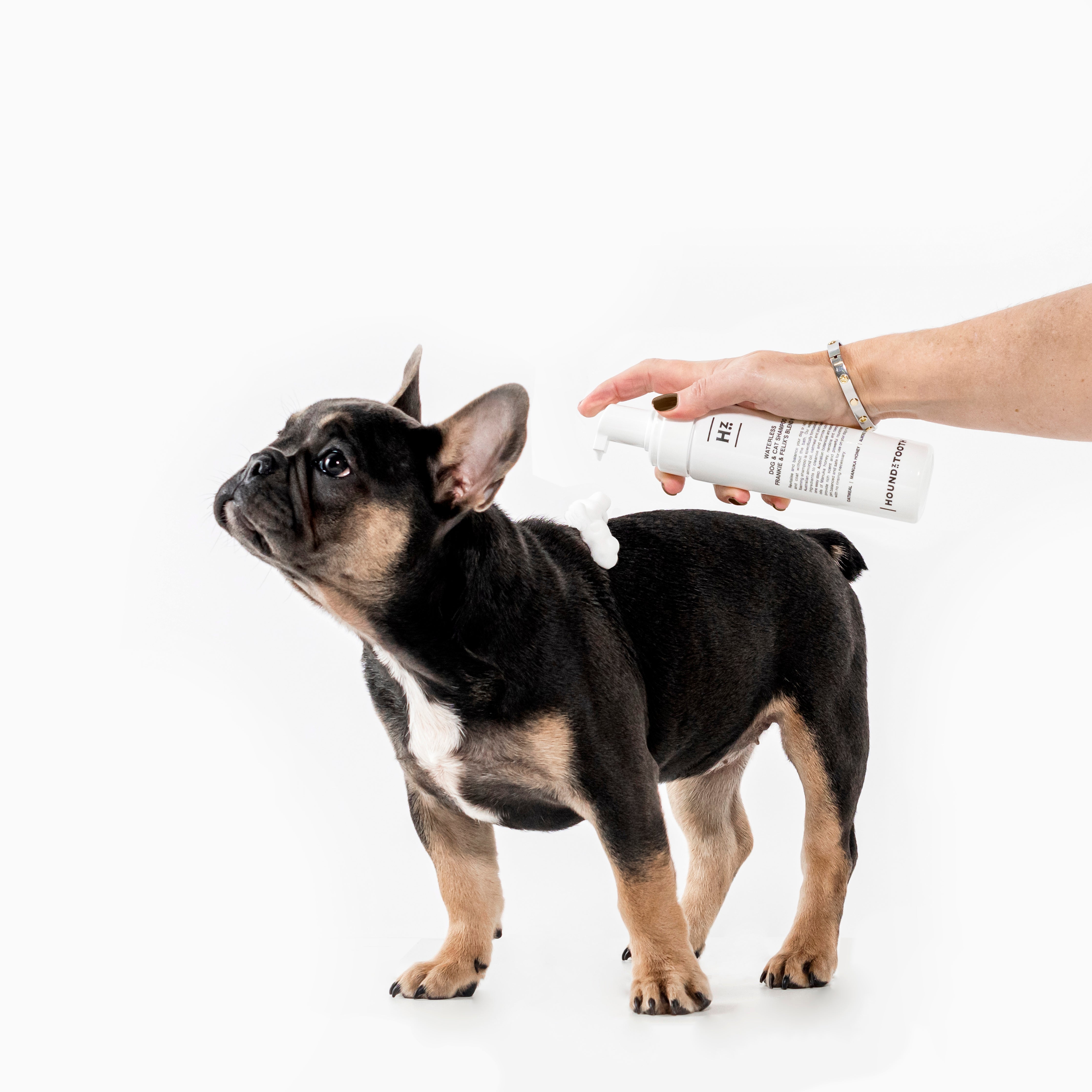 Houndztooth Rinse-Free Dog Shampoo - Frankie & Felix's Blend No.5 (200ml) | Gentle Waterless Cleansing for Dogs | Perfect for Travel, Quick Cleanups & Sensitive Skin