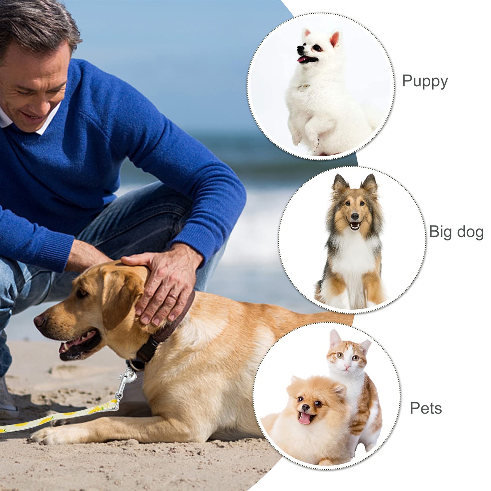 **Balacoo Heavy Duty Dog Harness & Leash Set - Durable Polyester Rope for Running, Pulling, and Training - Halloween & Christmas Floral Design for Dogs & Kittens - Perfect for Outdoor Adventures and Festive Occasions**