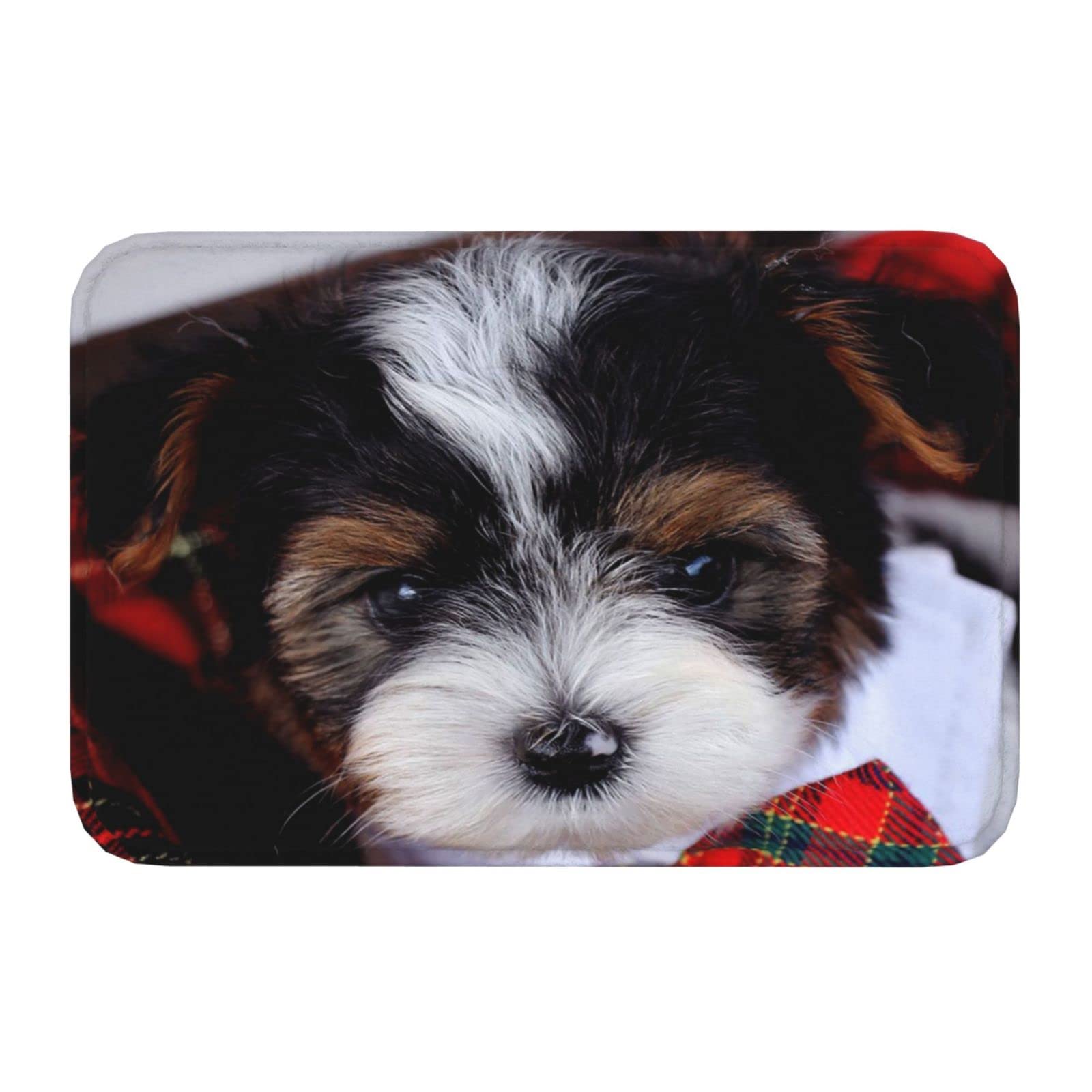 Biewer Terrier Puppies Doormat - Non-Slip Entryway Welcome Mat 16x24 Inch - Cute Dog Decor for Home, Front Door, Bathroom & Kitchen Floor - Perfect Gift for Pet Lovers