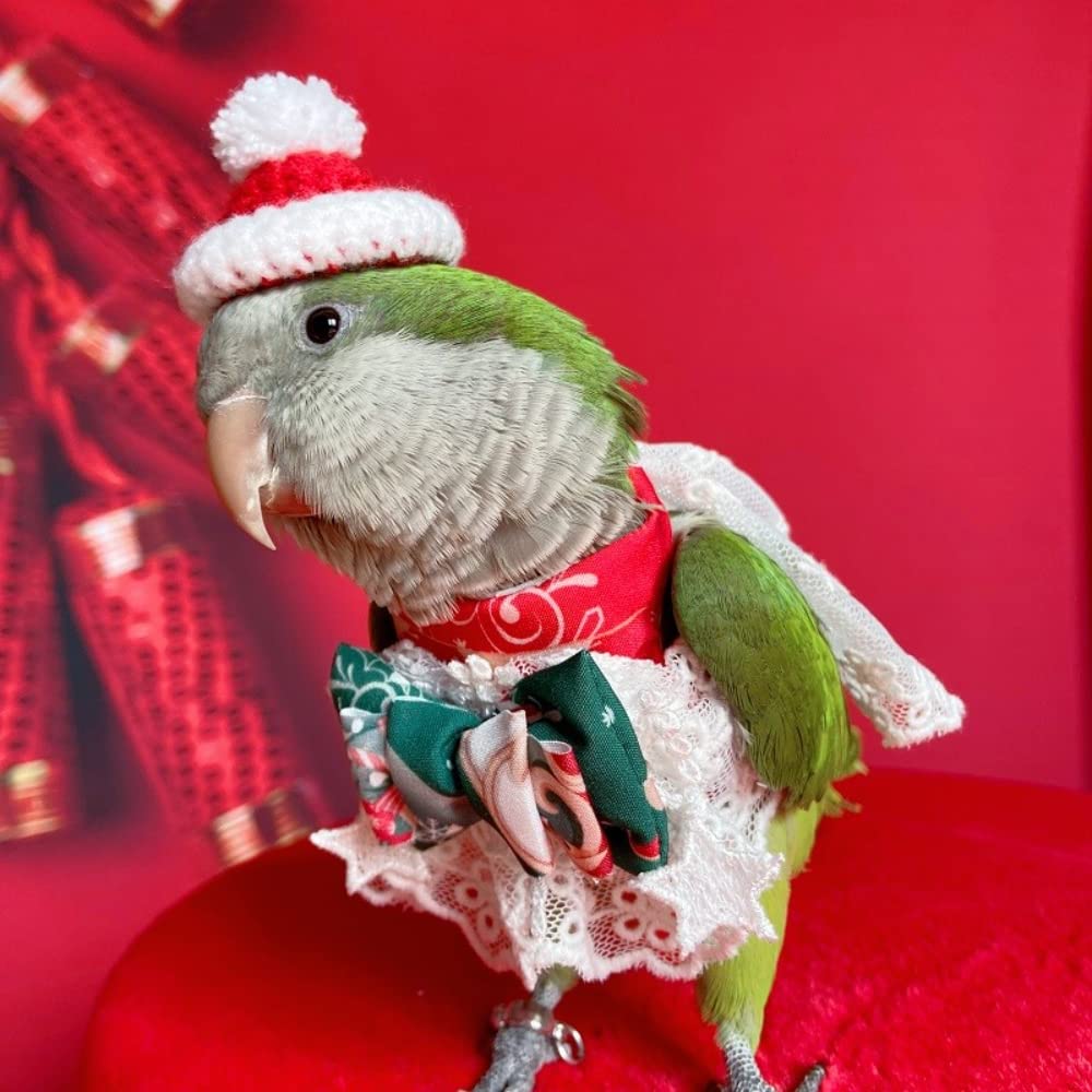 Green Eclectus Parrot Bird Costume - Soft Cloth Outfit for Small to Medium Parrots - Hand Wash Only - Perfect for Halloween, Parties & Photo Shoots