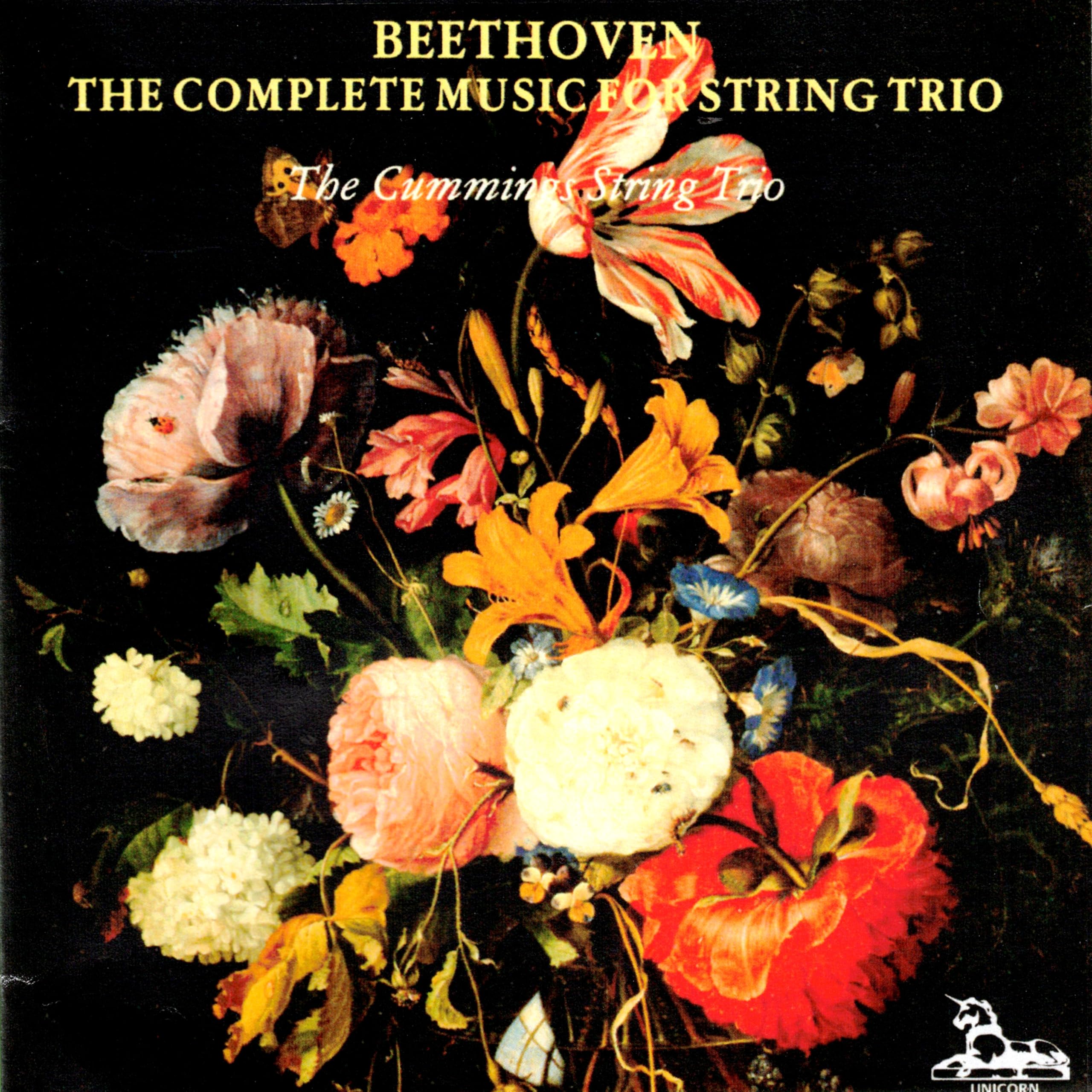 Complete String Trio Set - High-Quality Violin, Viola & Cello Strings for Professional Musicians | Perfect for Orchestras, Chamber Music & Solo Performances