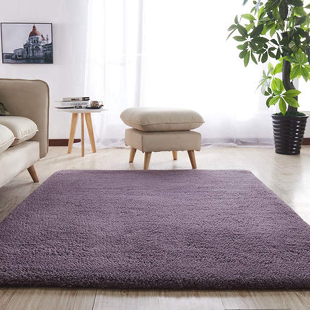 Soft Shag Area Rug - Non-Slip Plush Rectangular Carpet for Living Room, Bedroom, Nursery - Modern Home Decor Indoor/Outdoor Runner (1.6'x2.6', Plum) - Perfect for Kids Play Area & Cozy Floor Comfort