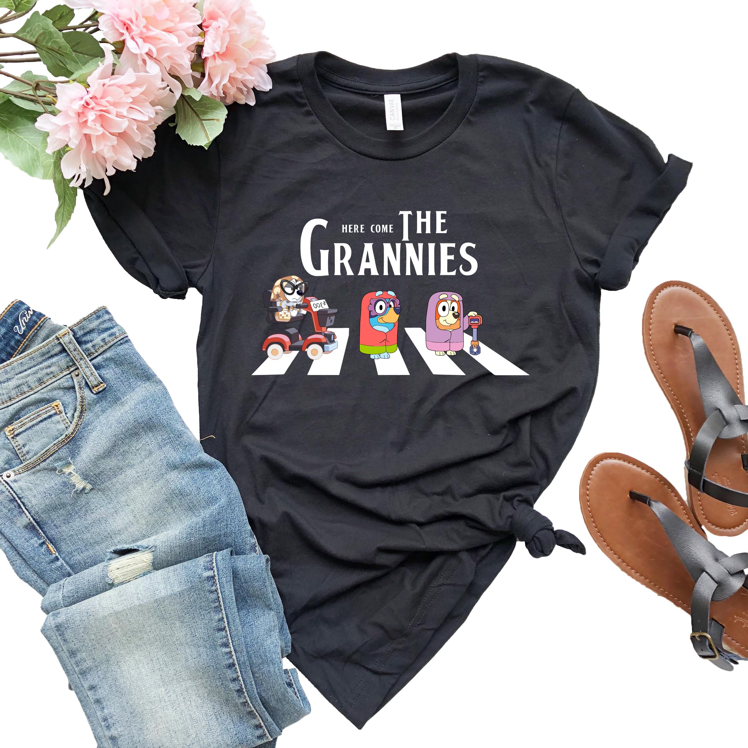 Here Come The Grannies Matching Family T-Shirts - Birthday Outfit for Boys & Girls - Blue Dog Lover Shirts for Toddler, Youth & Adult - Perfect for Family Reunions, Birthday Parties & Pet-Themed Events