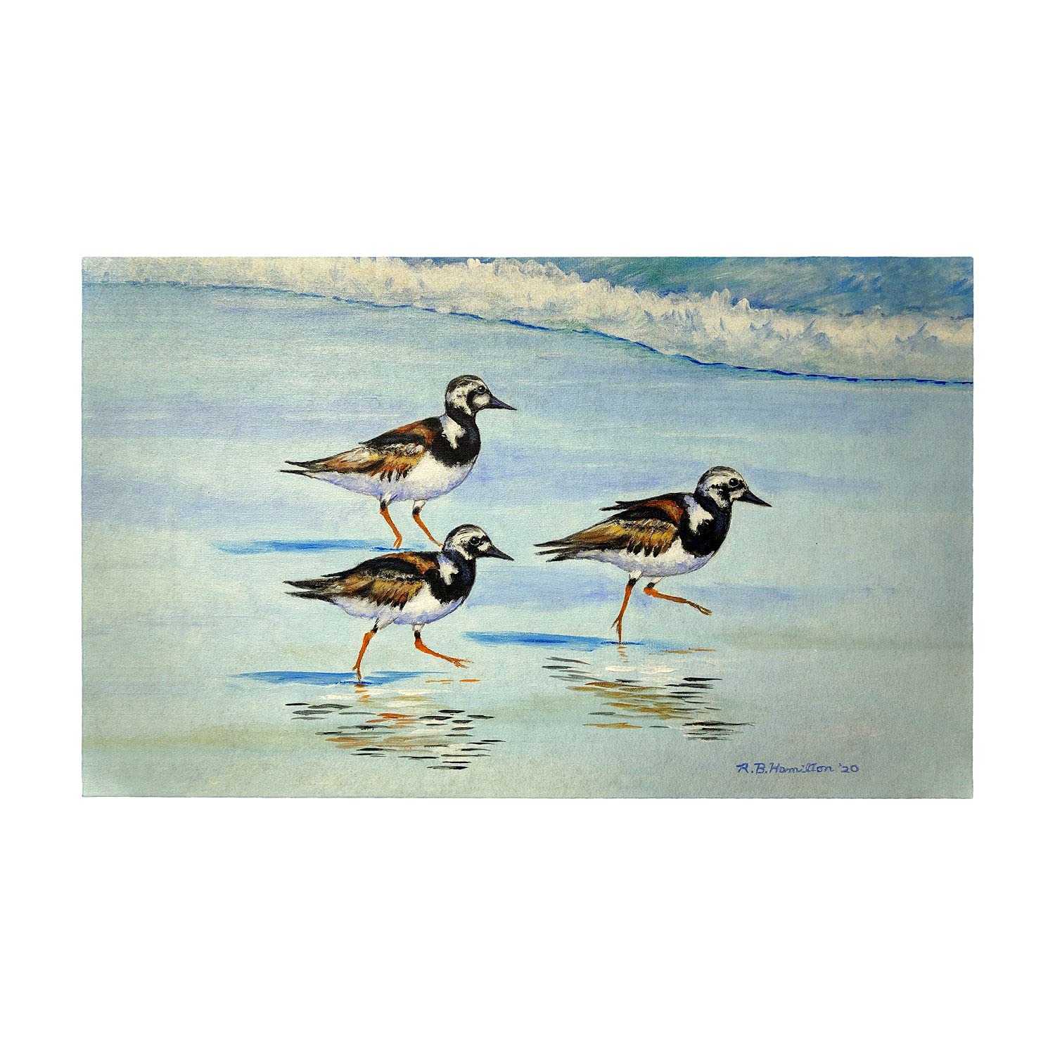 Betsy Drake Ruddy Turnstones Large Non-Slip Door Mat - Perfect for Entryway, Porch, and Home Decor