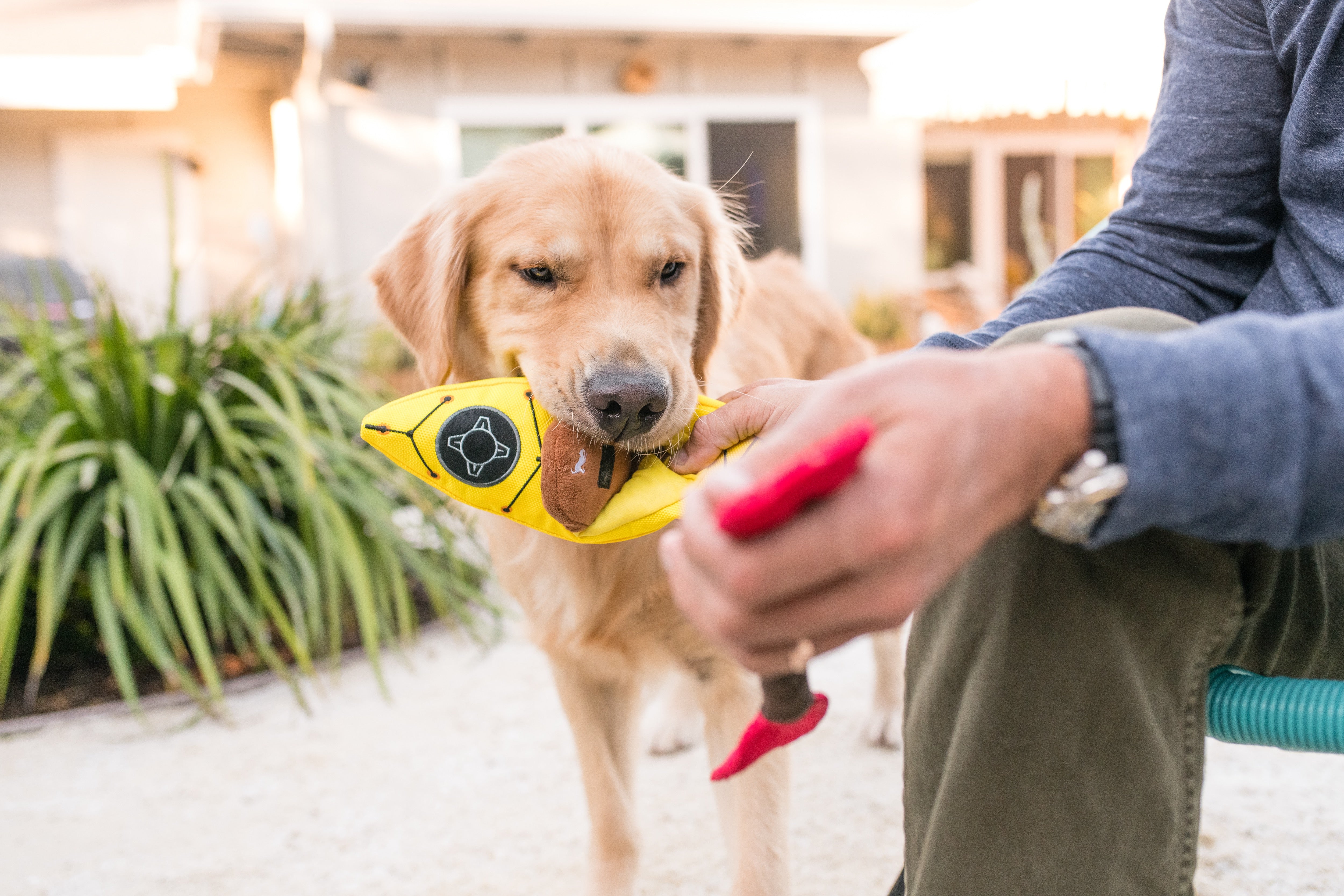 El Kayak Dog Toy - Camp Corbin™ Plush Chew Toy for Dogs | Durable & Soft Pet P.L.A.Y. Dog Chew Toy for Indoor & Outdoor Play, Fetch, and Cuddling