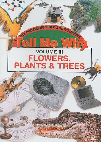 Beautiful Flowers, Plants & Trees for Home & Garden Decor - Indoor & Outdoor Landscaping Ideas