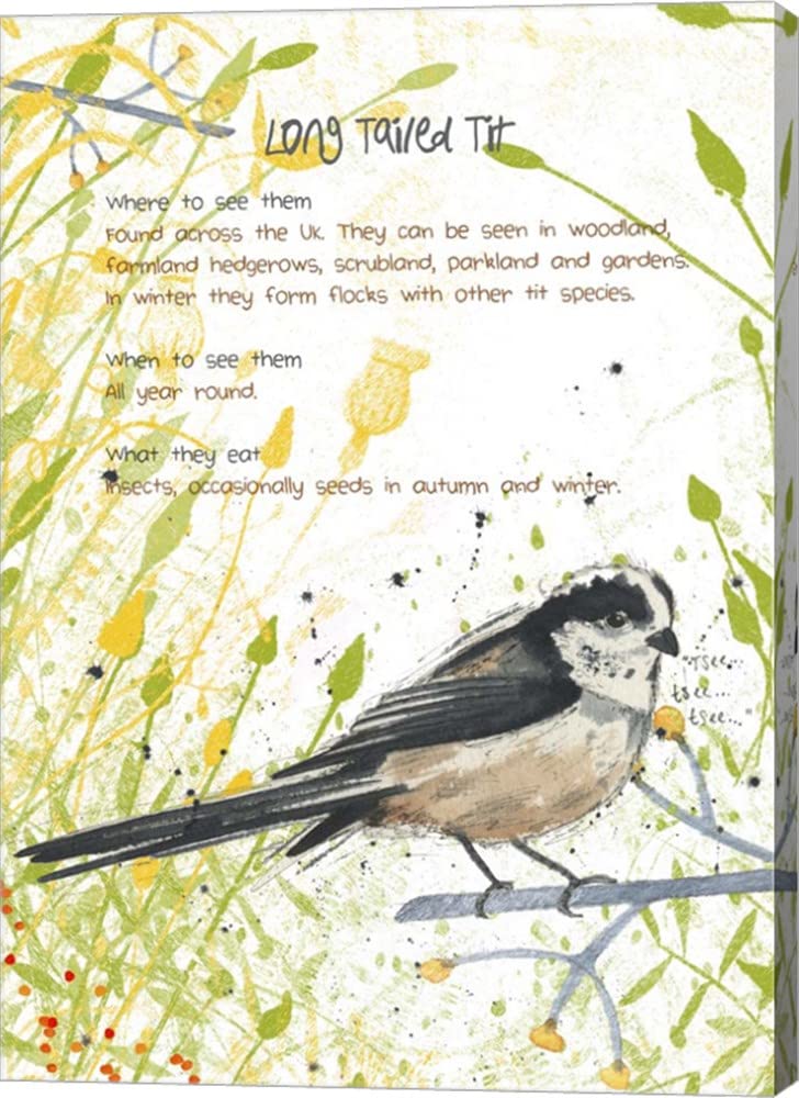 Long-Tailed Tit Canvas Art Print by Michelle Campbell - 10x14 Inch Gallery Wrapped Wall Decor for Living Room, Bedroom & Office