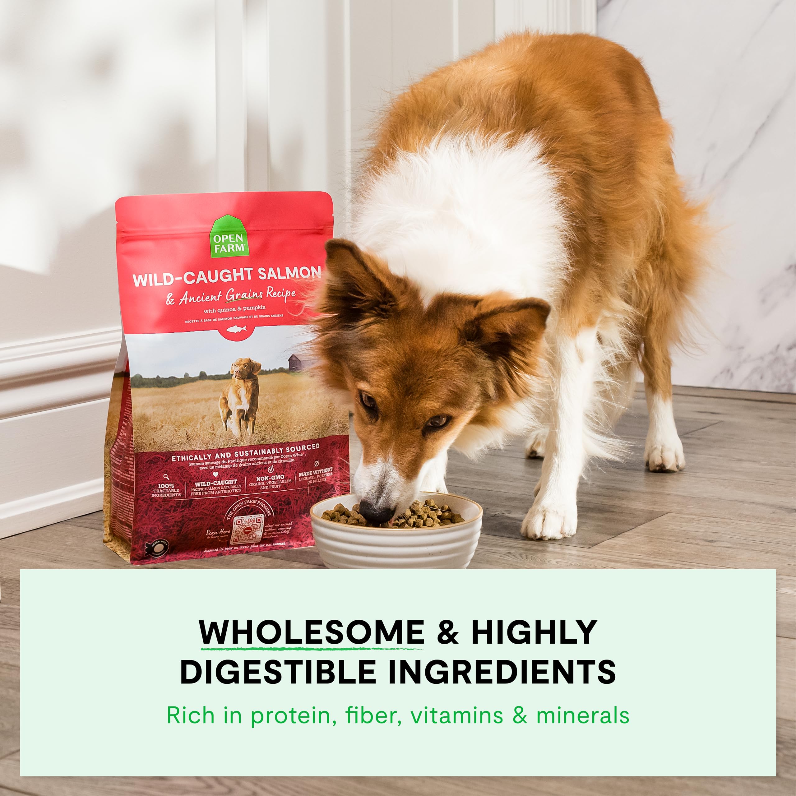 Open Farm Ancient Grains Dry Dog Food - High Protein & Nutrient Dense with 90% Animal Protein, Non-GMO Fruits, Vegetables & Superfoods - Wild Caught Salmon Recipe - 11lb Bag for Adult Dogs - Perfect for Active Pets & Sensitive Stomachs