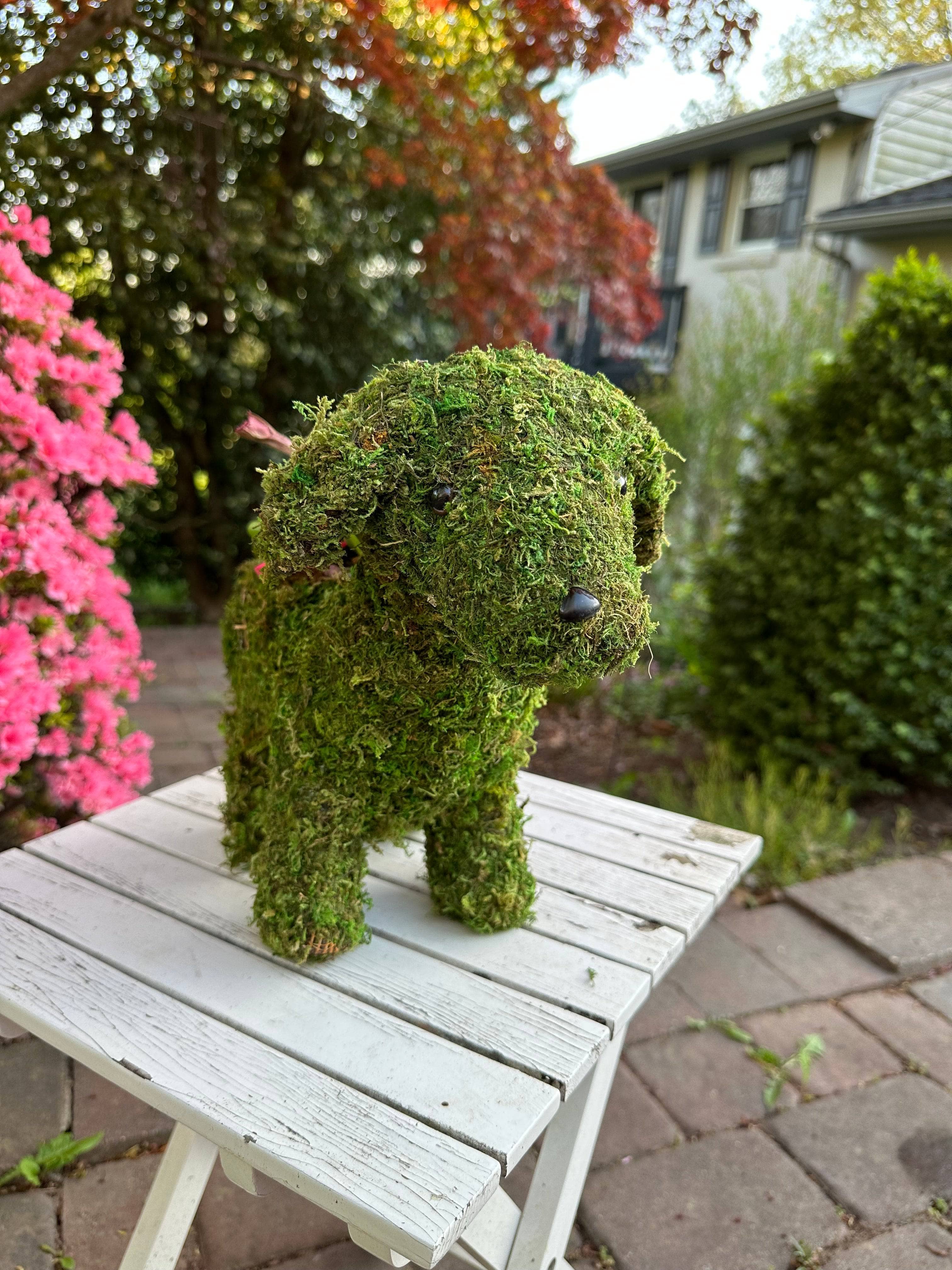 13 Inch Puppy Moss Planter - Cute Indoor Succulent Planter for Home & Office Decor - Perfect for Windowsills, Desks, and Gift Giving