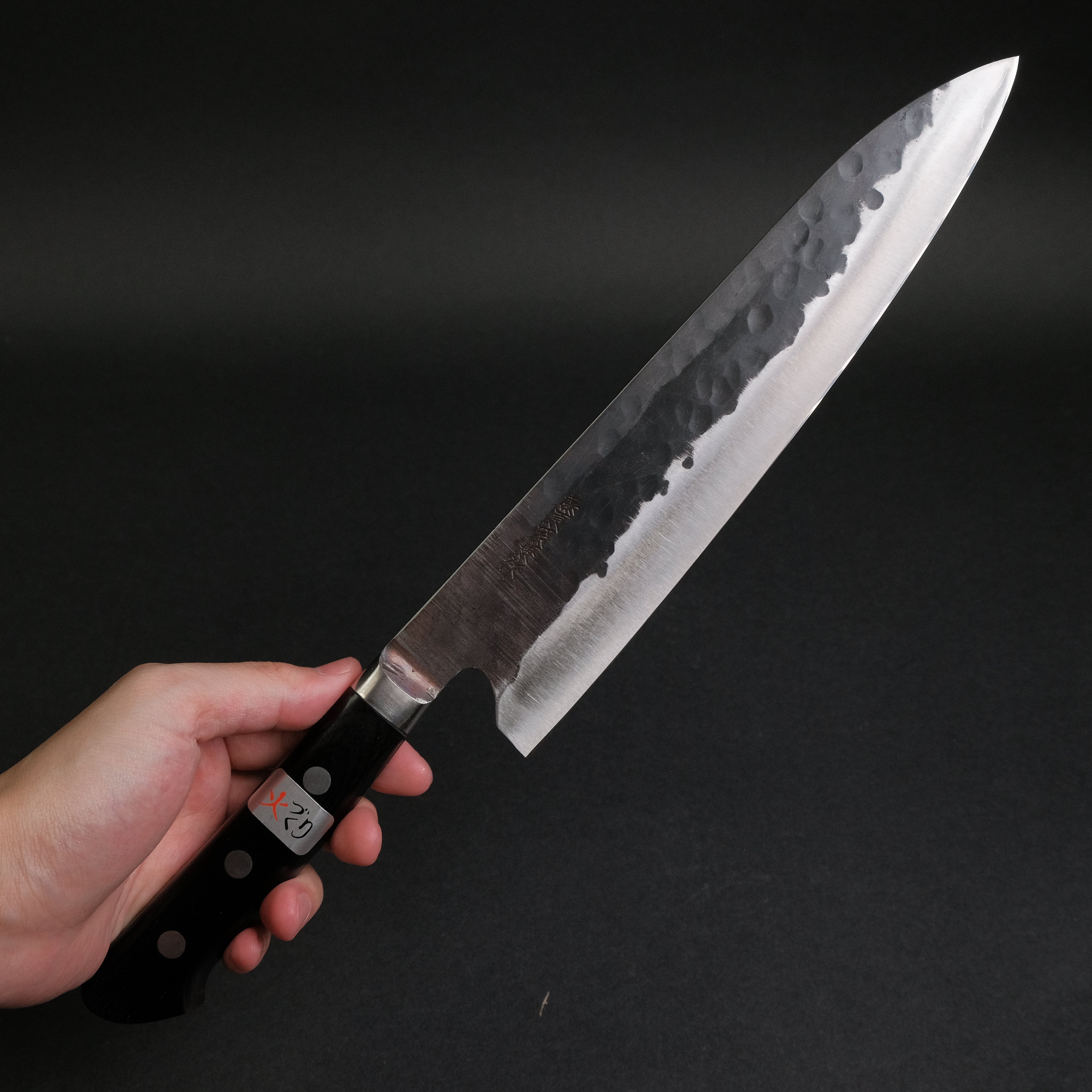 Premium Teruyasu Fujiwara Denka Gyuto 240mm Japanese Chef Knife - Pakka Wood Handle - High Carbon Steel Blade for Professional Chefs & Home Cooking - Perfect for Slicing, Dicing & Meat Cutting