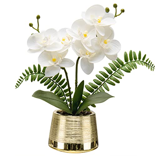 White Orchid and Gold Pot