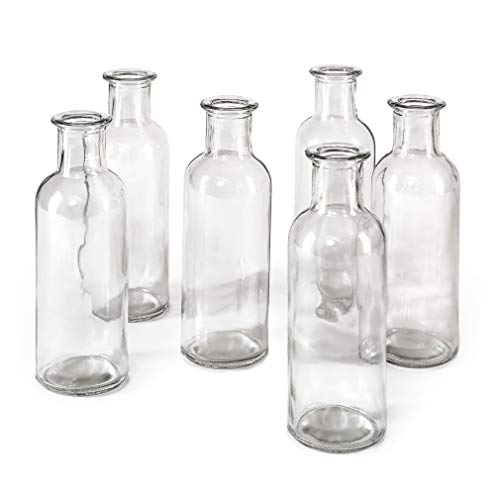 Clear, Large, Set of 6