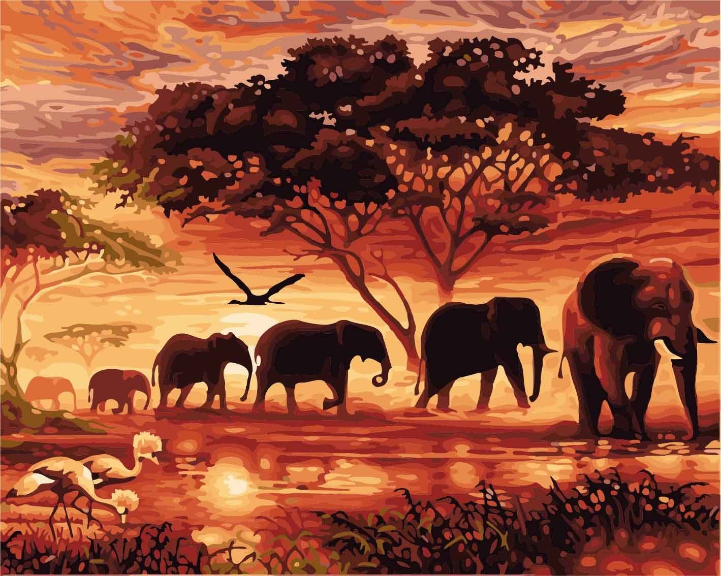 DIY Oil Painting by Numbers for Adults - Abstract Sunset Elephants Couple Art 16x20 Inch with Wooden Frame - Perfect Gift for Adults & Kids, Home Wall Decor for Living Room, Bedroom, Office
