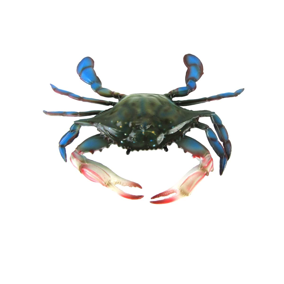Maryland Blue Crab Nautical Plaque - Coastal Wall Decor for Beach House, Tiki Bar & Home | Rustic Wooden Wall Hanging for Kitchen, Porch & Outdoor Spaces
