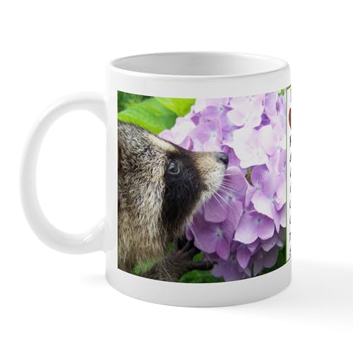 White - I Love Raccoons Mug