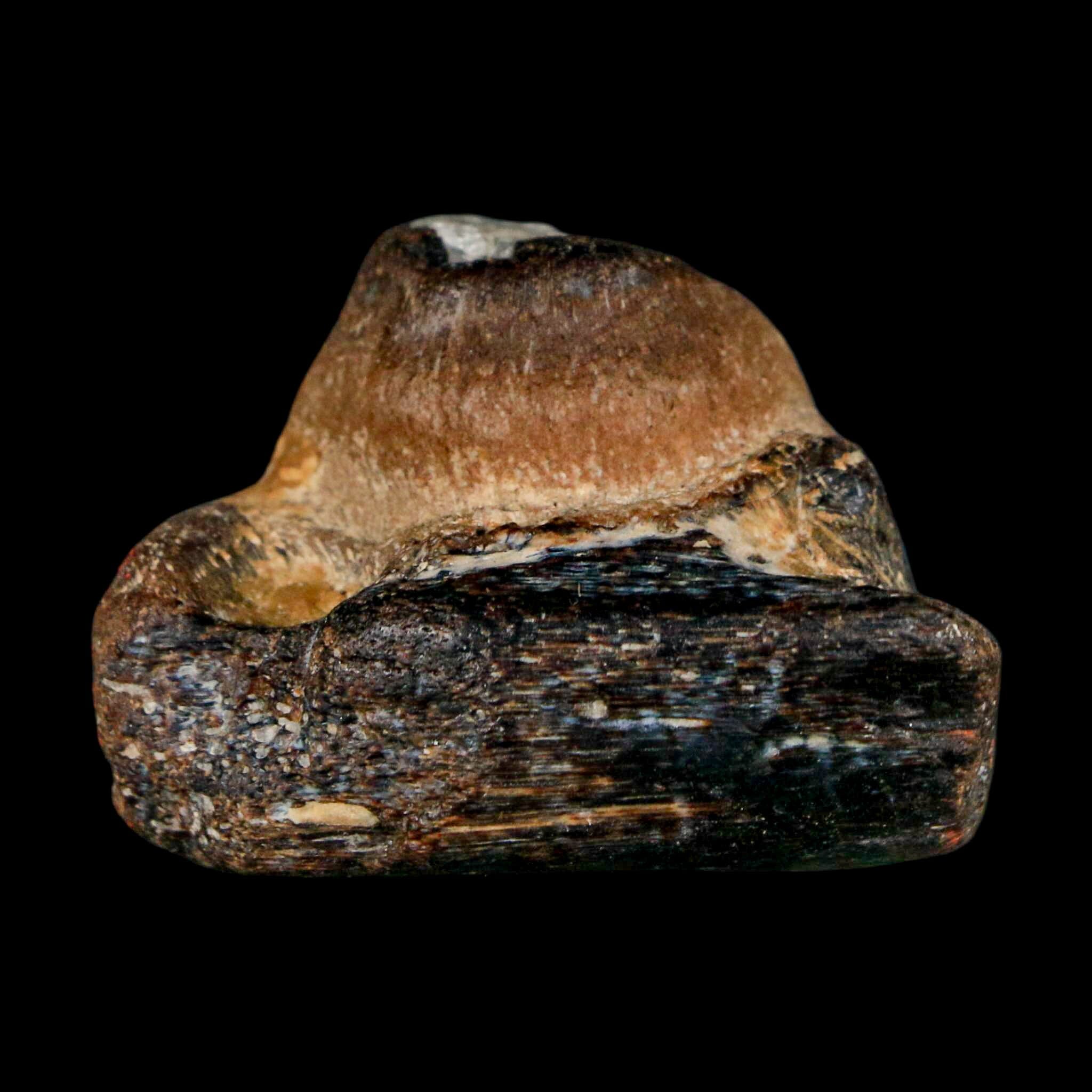 1.5