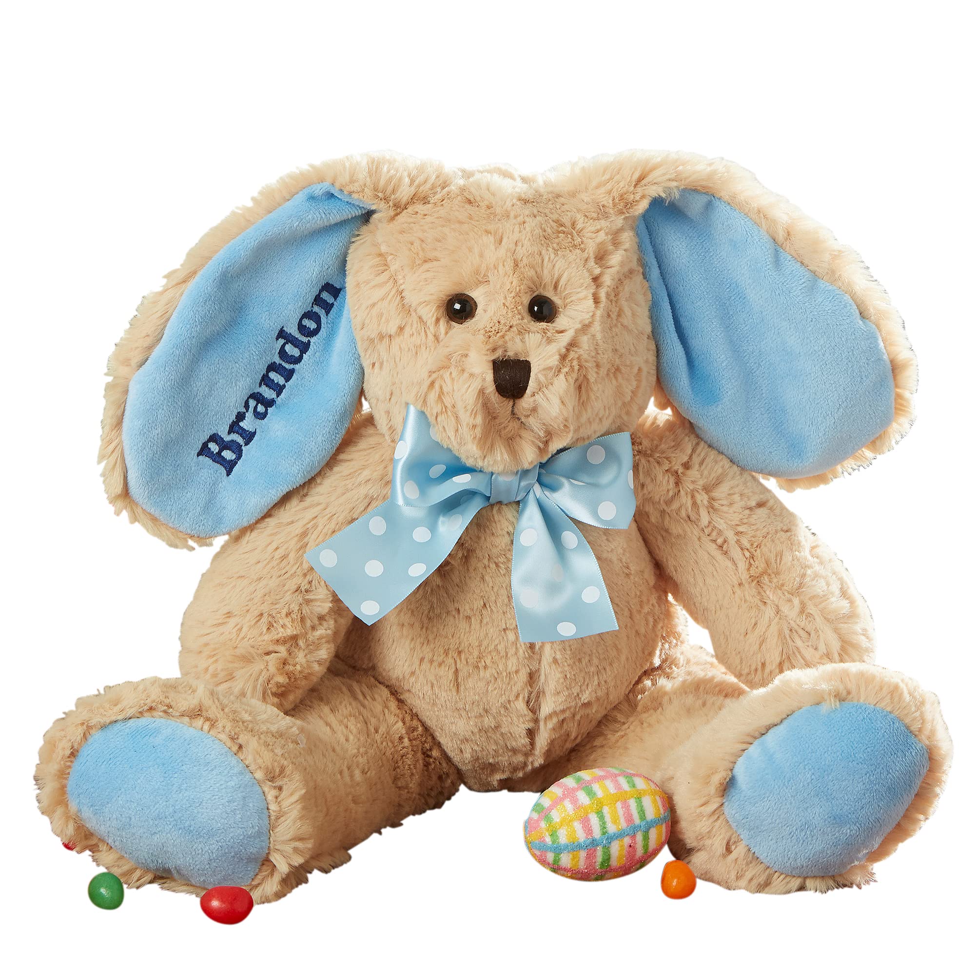 Custom Embroidered Name Some-Bunny Special Easter Bunny Plush - Personalized Stuffed Animal for Easter Basket, Baby Shower Gift & Nursery Decor - Soft Blue Plush Toy for Boys & Girls (Easter Celebration, Baby's First Gift, Nursery Room Decoration)