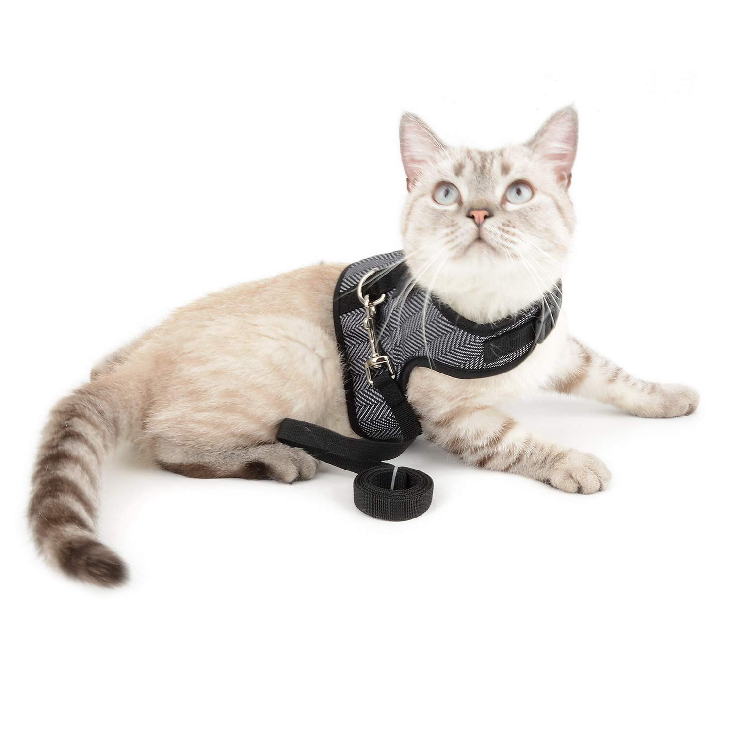 Adjustable No-Pull Escape-Proof Bowtie Houndstooth Cat & Small Dog Harness with Leash Set - Soft Waterproof Walking Vest for Puppies & Kittens - Outdoor Pet Safety (Black, Medium) - Perfect for Walks, Hiking & Outdoor Adventures