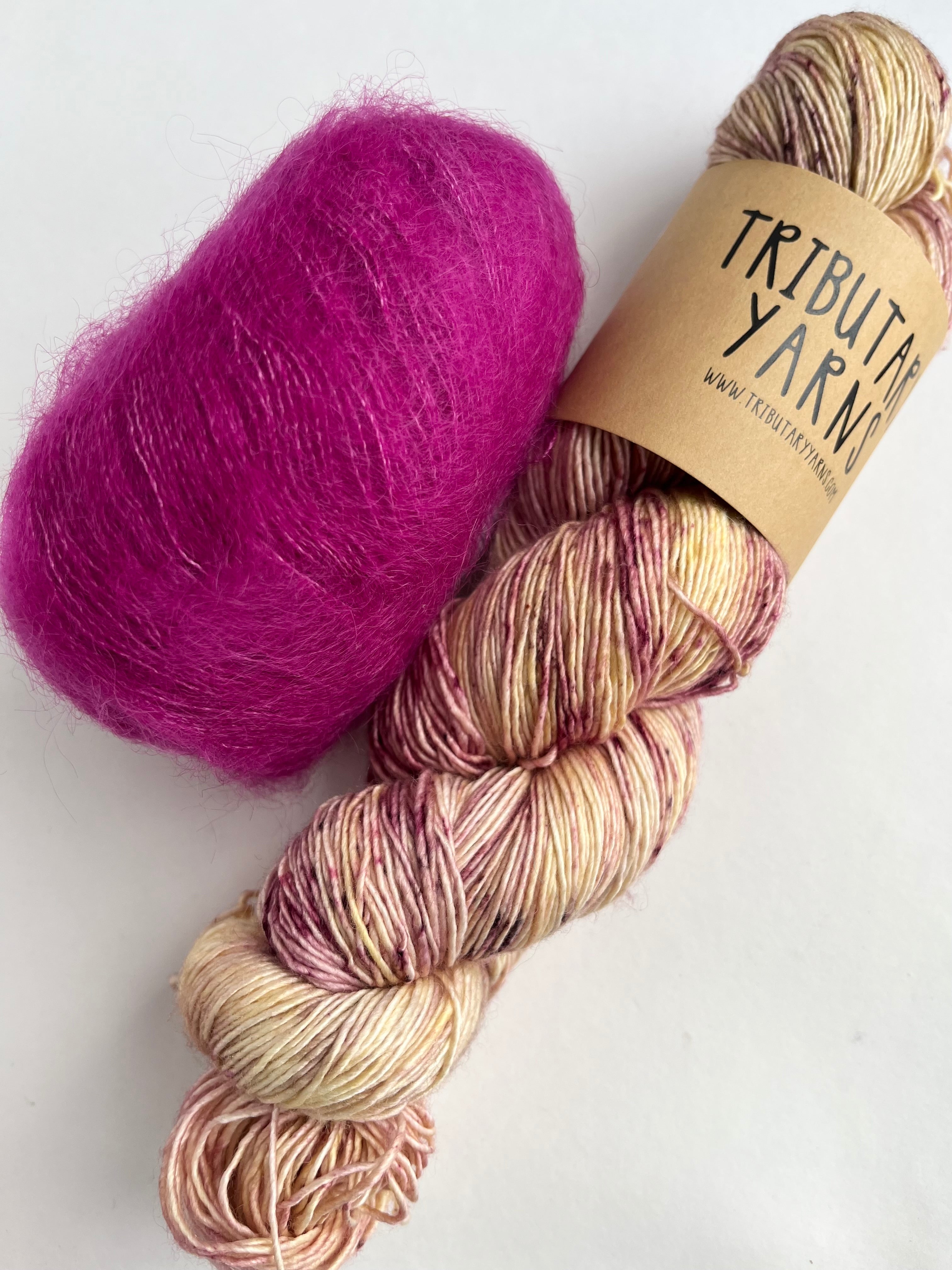 Wren/Fuchsia
