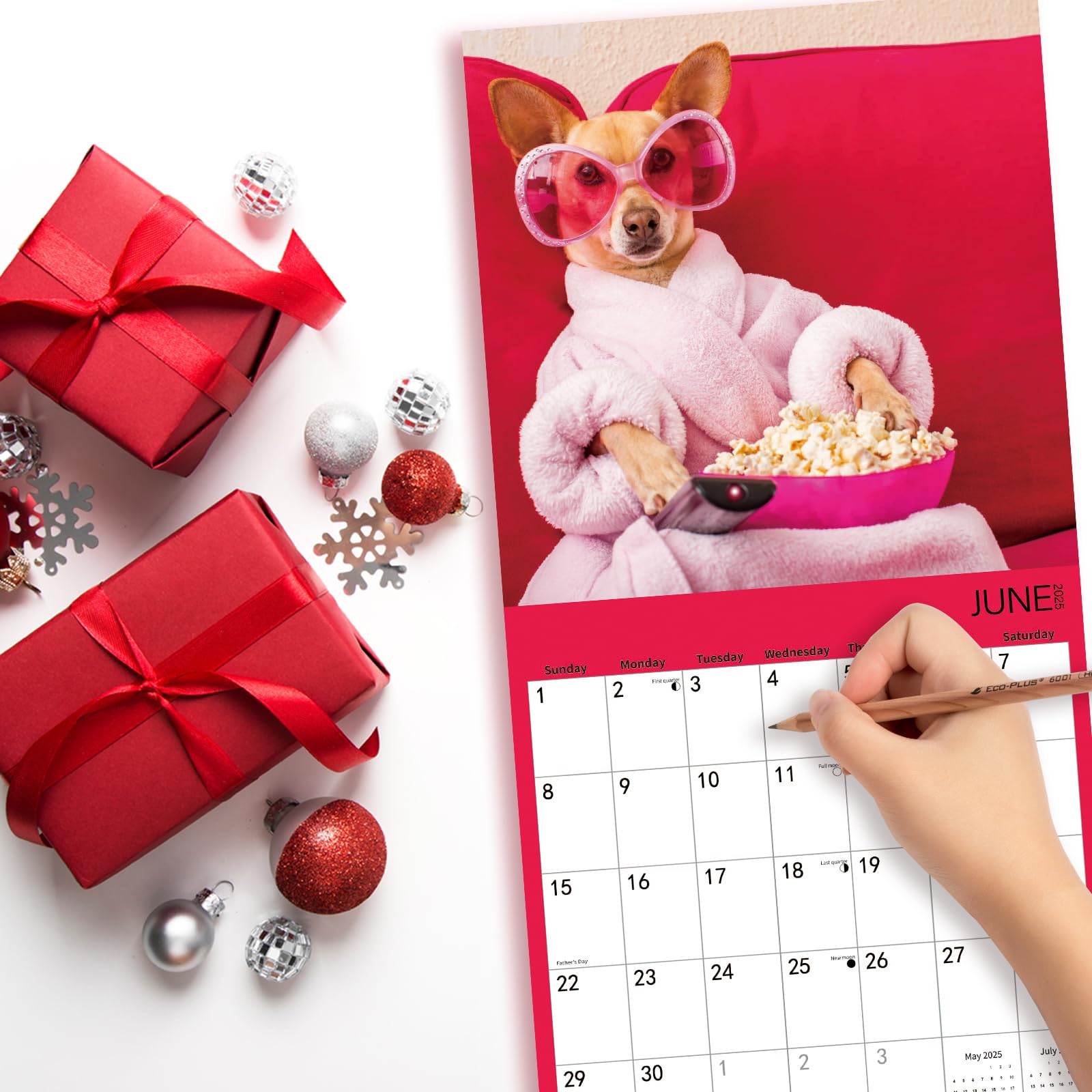 2025 Funny Dogs Wall Calendar - 12