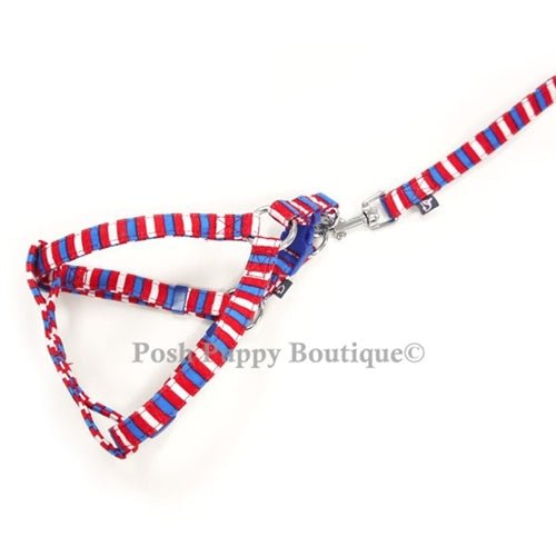 EasyCLICK No-Pull Dog Harness with Fun Stripes - Adjustable Pet Vest for Small to Medium Dogs - Perfect for Walking, Training & Outdoor Adventures
