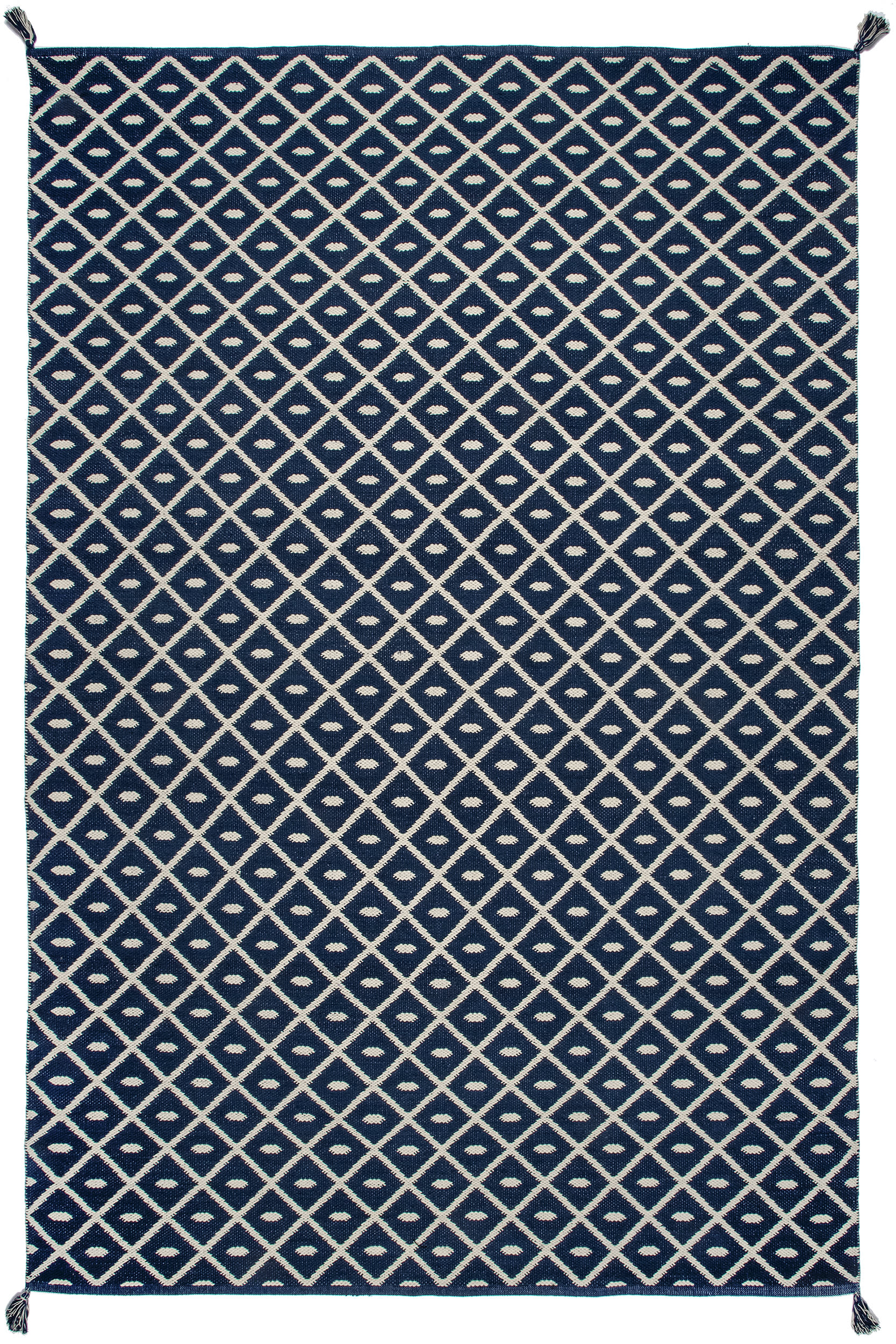 Flatwoven Pip Trellis with Tassels Area Rug - Blue Bohemian Style Handmade Cotton Rug for Living Room, Bedroom & Nursery Decor