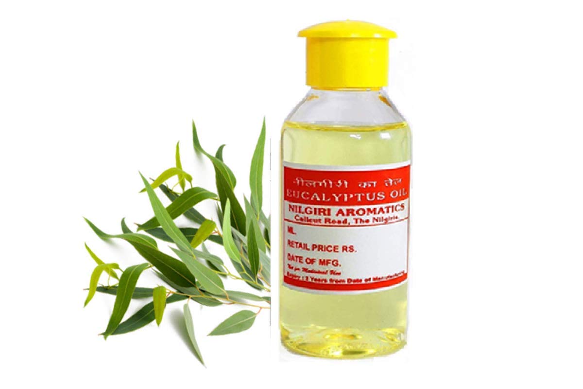 Pure Nilgiri Eucalyptus Essential Oil - 30ml (Buy 1 Get 1 Free) for Aromatherapy, Massage & Home Diffuser | Natural Stress Relief & Respiratory Support