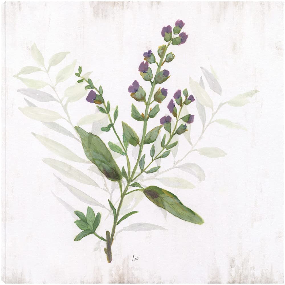 Kitchen Garden II Canvas Wall Art - 32x32 Inch Ready to Hang Fine Art Print by Artist Nan - Perfect for Living Room, Bedroom, Bathroom, Kitchen, Office, Bar & Dining Room Decor - Modern Home & Office Wall Decor