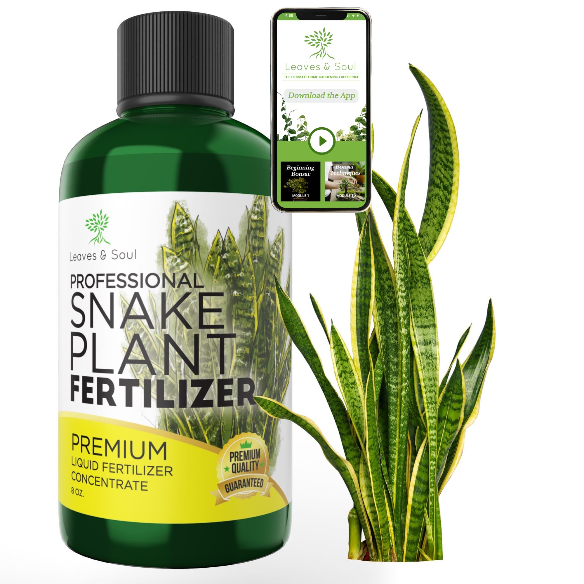 Premium Liquid Snake Plant Fertilizer 8 oz - 3-1-2 NPK Concentrated Plant Food for Indoor & Outdoor Plants - All-Purpose Flower & Garden Nutrient Solution - Perfect for Houseplants, Succulents & Gardening Supplies