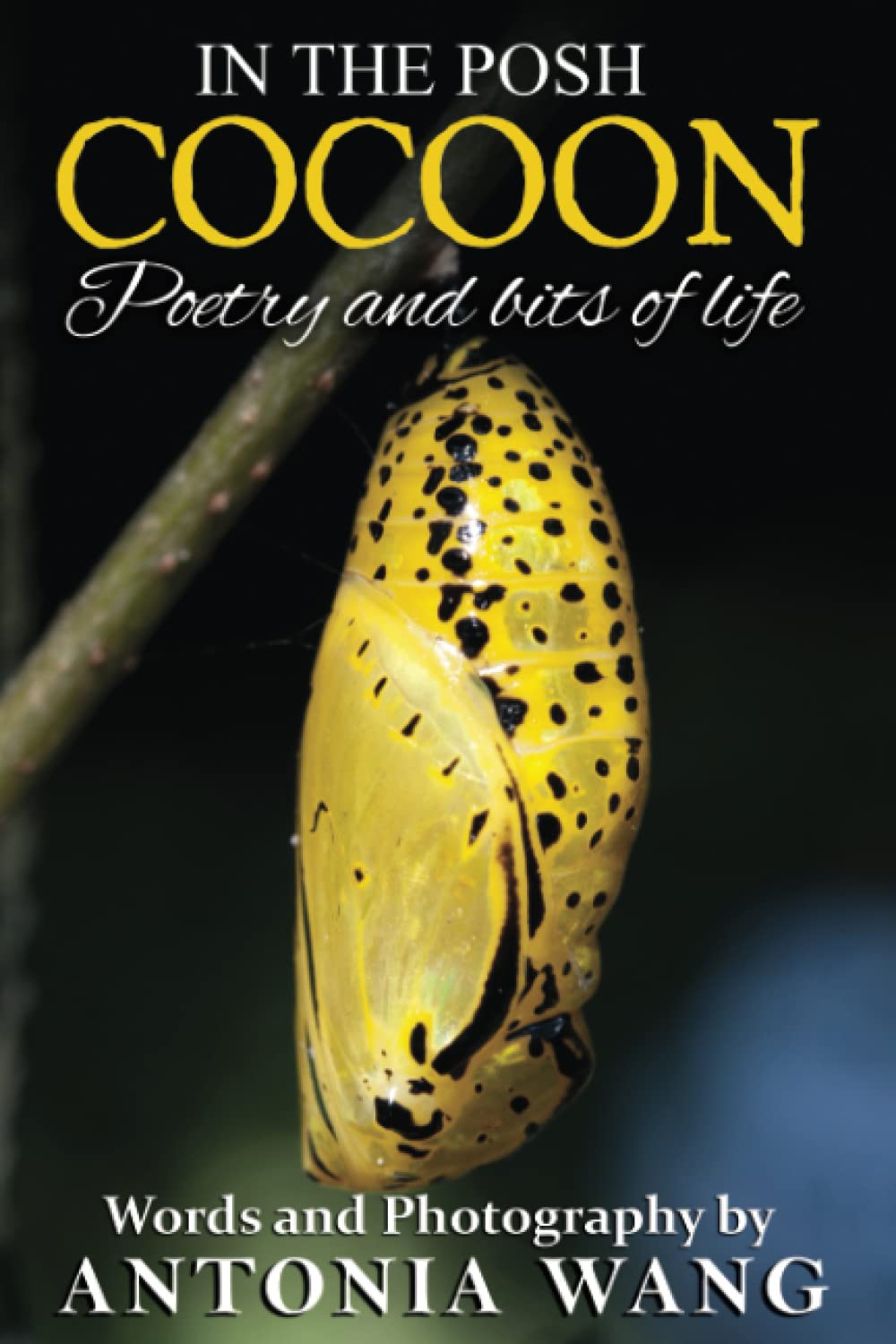 Posh Cocoon Poetry Book - Inspirational Life Poems & Verses for Relaxation, Meditation, and Daily Reflection