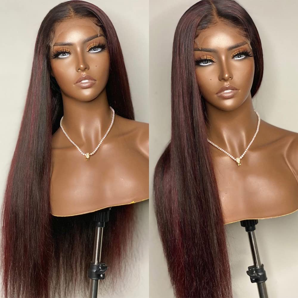 13x4x1 T Part Lace Front Wig Human Hair 1B/99J Ombre - 20 Inch Straight Wigs for Black Women with Baby Hair & 130% Density | Highlight Lace Front Wigs for Daily Wear, Parties & Special Occasions