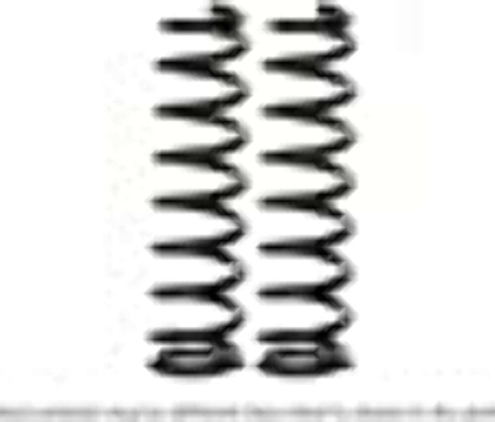 ARB 2980 Old Man Emu Coil Spring - Heavy Duty 4x4 Suspension Upgrade for Off-Road Trucks & SUVs | Perfect for Jeep Wrangler, Toyota Land Cruiser & Ford F-150