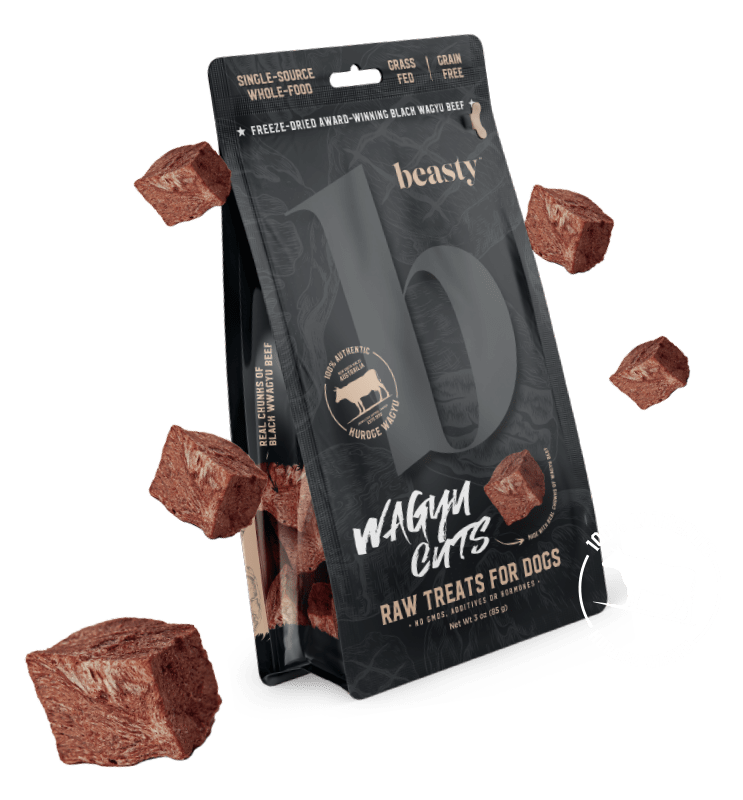 Premium Freeze Dried Wagyu Beef Dog Treats - High Protein, Grain-Free, All-Natural Training Snacks for Small & Large Dogs - Perfect for Training, Rewards & Special Occasions
