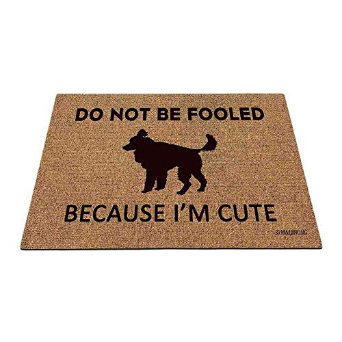 Toy Poodle