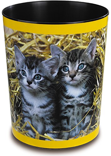 Cats in the straw