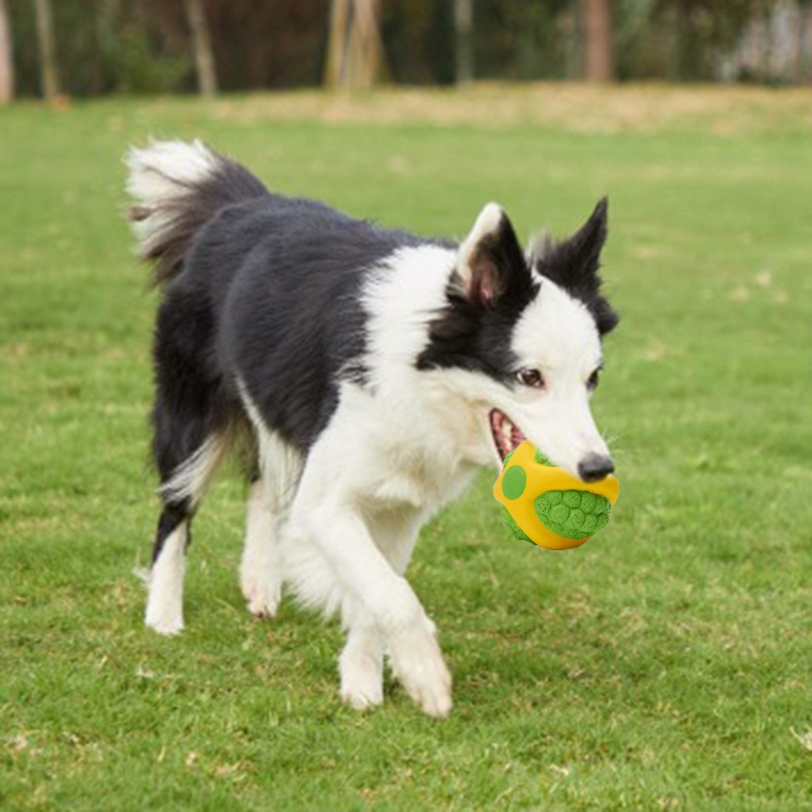 HOVTOIL Dog Chew Toy - Durable Latex Football Chew Ball for Puppies & Adult Dogs, Interactive Squeaky Training Toy for Teeth Cleaning & Playtime | Perfect for Fetch, Training & Indoor/Outdoor Play