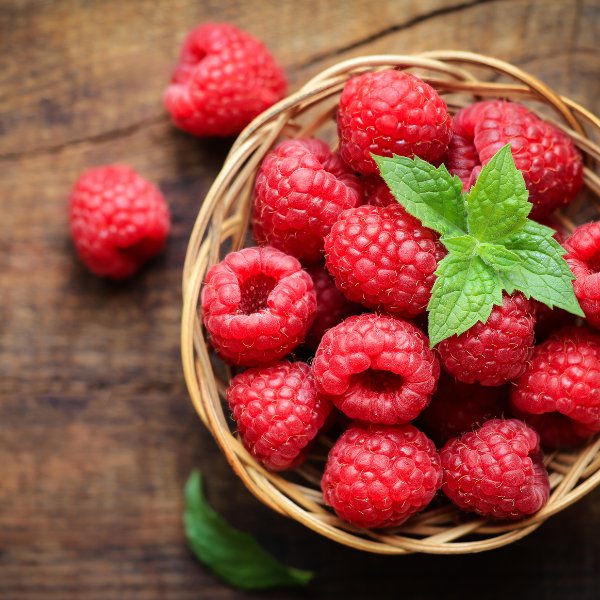 Organic Rockin' Raspberry Lip Balm - Natural Moisturizing & Hydrating Lip Care for Dry Lips - Perfect for Winter, Outdoor Activities & Daily Use